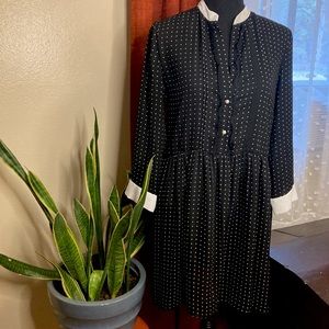 Zara Pin Dot Black Dress